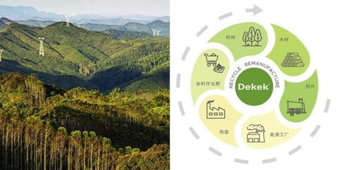 刨花板漸成國內人造板主流趨勢,領軍品牌德科康賦能行業新發展