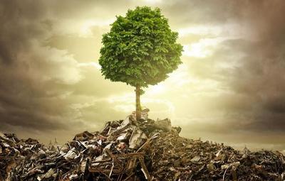 垃圾回收催生新職業(yè) 別因舊眼光錯(cuò)過(guò)新風(fēng)口